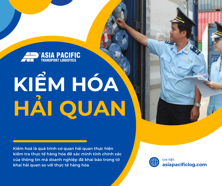 Kiểm Hóa là gì ? Quy Trình Kiểm Hoá | AP Logistics