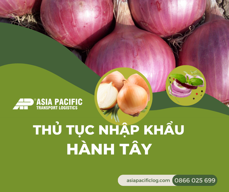 Thủ Tục Nhập Khẩu Hành Tây 2025