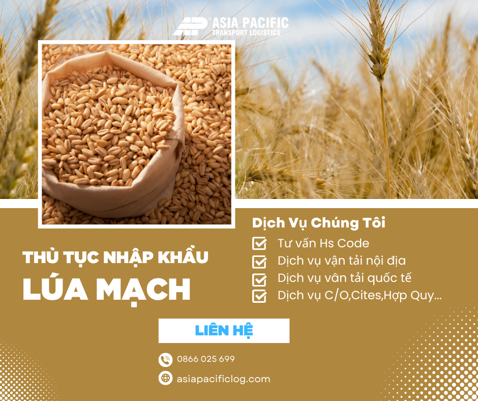 Thủ Tục Nhập Khẩu Lúa Mạch