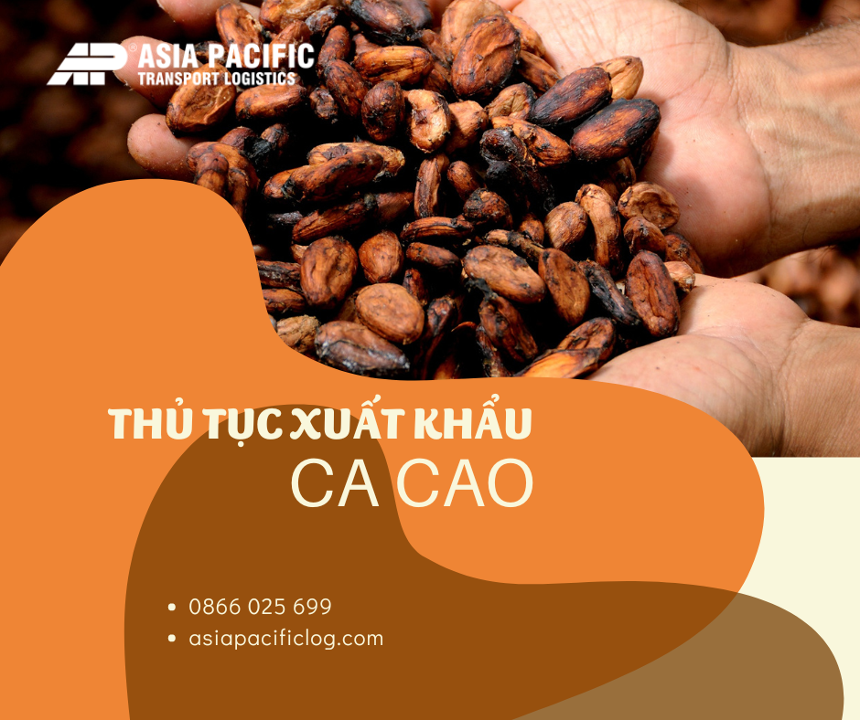 Thủ Tục Xuất Khẩu Ca Cao