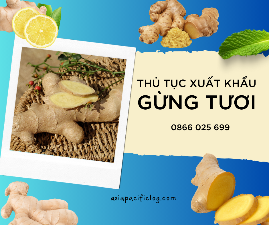 Thủ Tục Xuất Khẩu Gừng Tươi